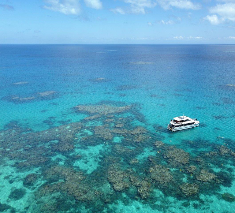 Port Douglas: Outer Great Barrier Reef Snorkeling Cruise