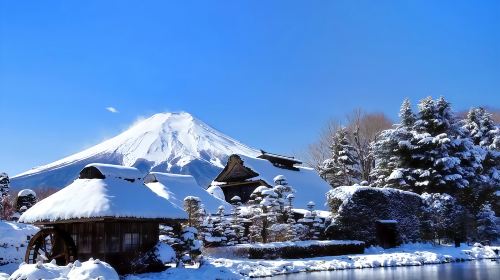 Japan Tokyo Mt. Fuji Lake Kawaguchi & Yamanakako & Lawson/Hikkawa one-day tour|Internet celebrity panoramic check-in Day Tours