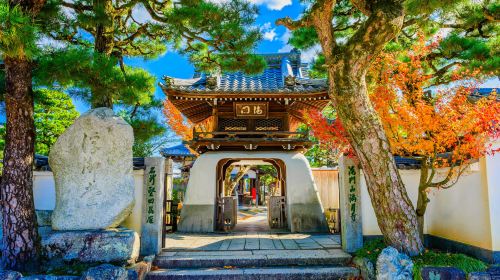 Japan Discovery Tour – Lake Biwa, Shirahige Jinja, Observation Deck