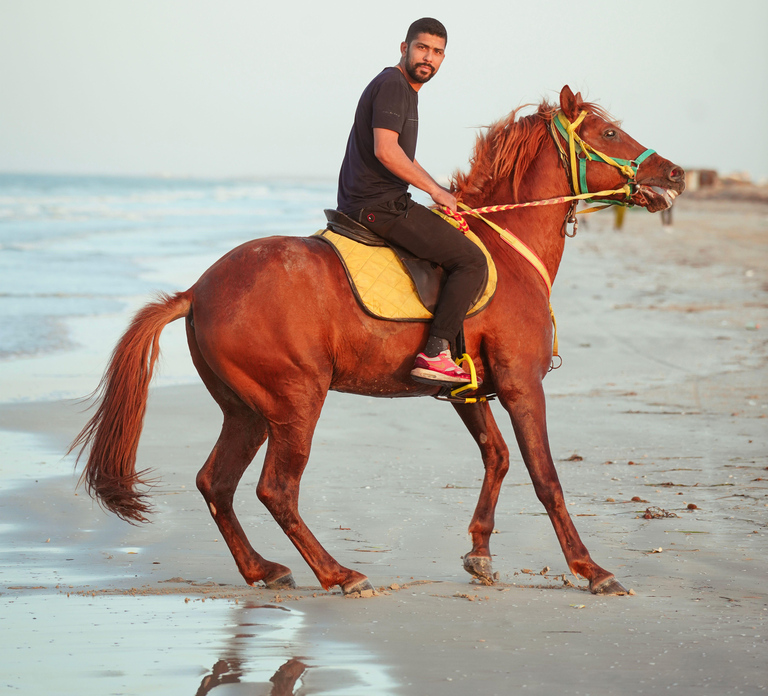 Al Shahama: Private Arabian Gulf Horseback Ride