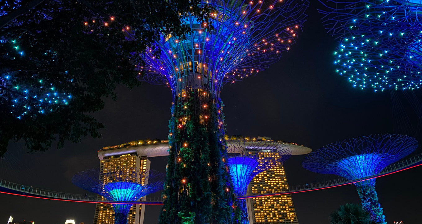 Singapore NightVee Ride: 1-Hour