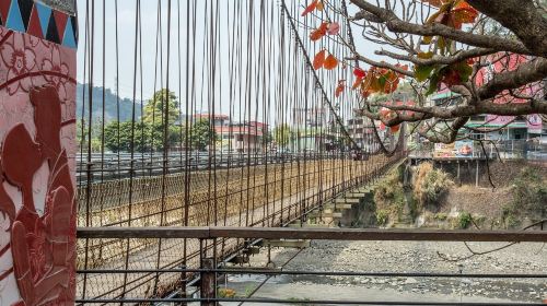 Alishan National Scenic Area Day Tour from Taichung Day Tours
