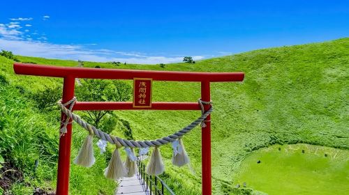 Tokyo 1-day tour to Mt. Omuro + Jogasaki Coast + Ito Marine Town, including free cable car ride at Mt. Omuro