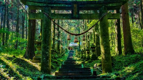 1-day tour to Kamishikimi Kumanoimasu Shrine, Takachiho Gorge, and Amanoiwato Shrine Nishi Hongu in Miyazaki, Japan