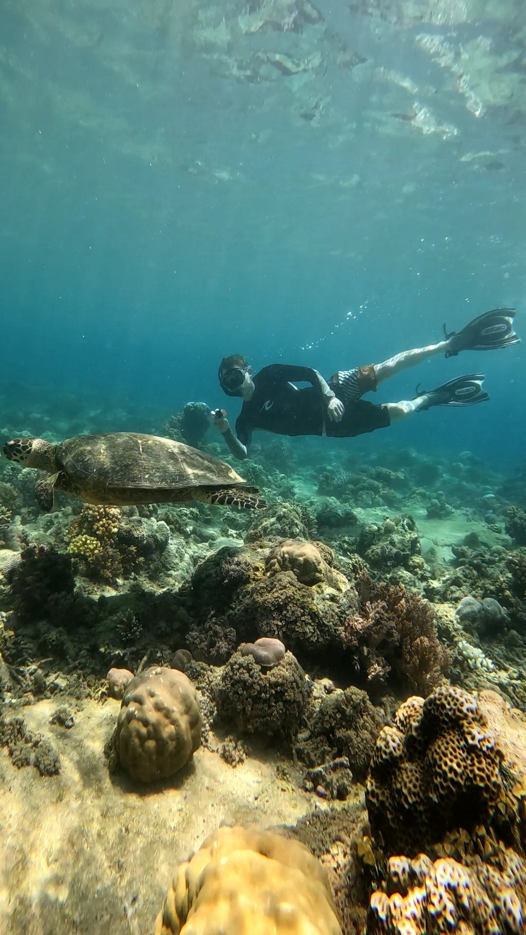 Secrate Island Private Snorkling Tour in lombok with go pro