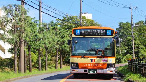 Izu Kogen & Kinosaki 1-day/2-day Free Ride Pass for Tokai Bus Transport Passes