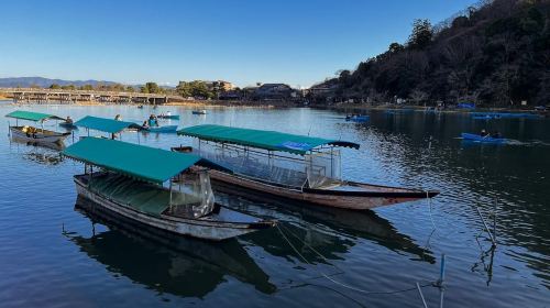Kyoto: Arashiyama and Bamboo Forest Tour Day Tours