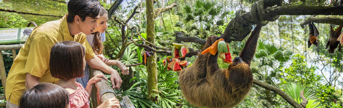 Singapore Zoo