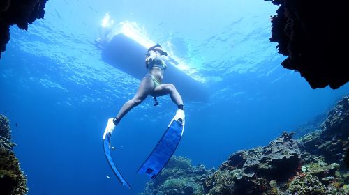 Beginner-Friendly Diving School Atsumaru
