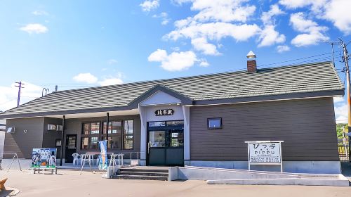 Hokkaido May Limited-Time 1-Day Tour: Shibazakura Takinoue kōen Park + Kamiyubetsu Tulip Park Day Tours