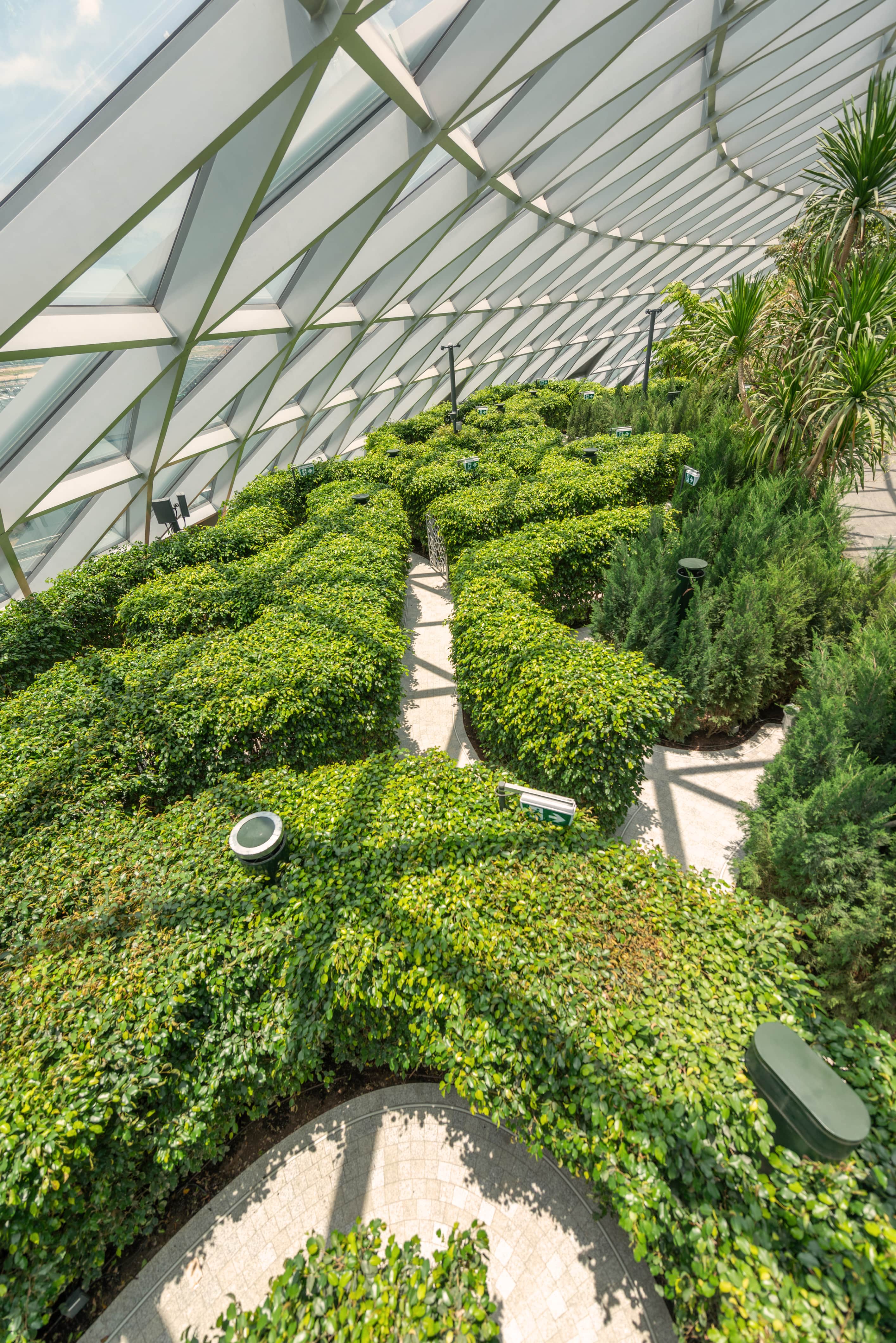 Hedge Maze