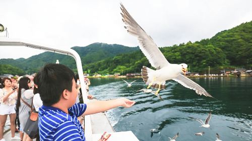 Kyoto Amanohashidate + Ine Funaya 1-Day Tour: Optional Amanohashidate Chairlift and Monorail + Ine Bay Cruise
