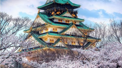 Japan transportation one-way ticket for Tokyo to Osaka/Kyoto high-speed overnight bus (4-row seating)