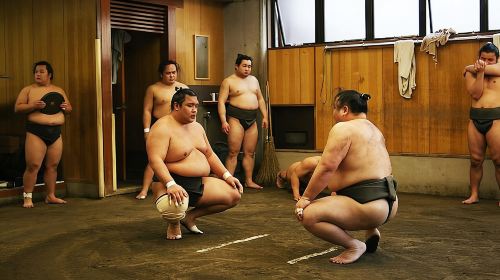 Watch Sumo Morning Practice at Stable in Tokyo Day Tours
