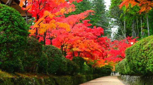 1-day tour from Osaka to world heritage Koyasan – Danjo Garan
