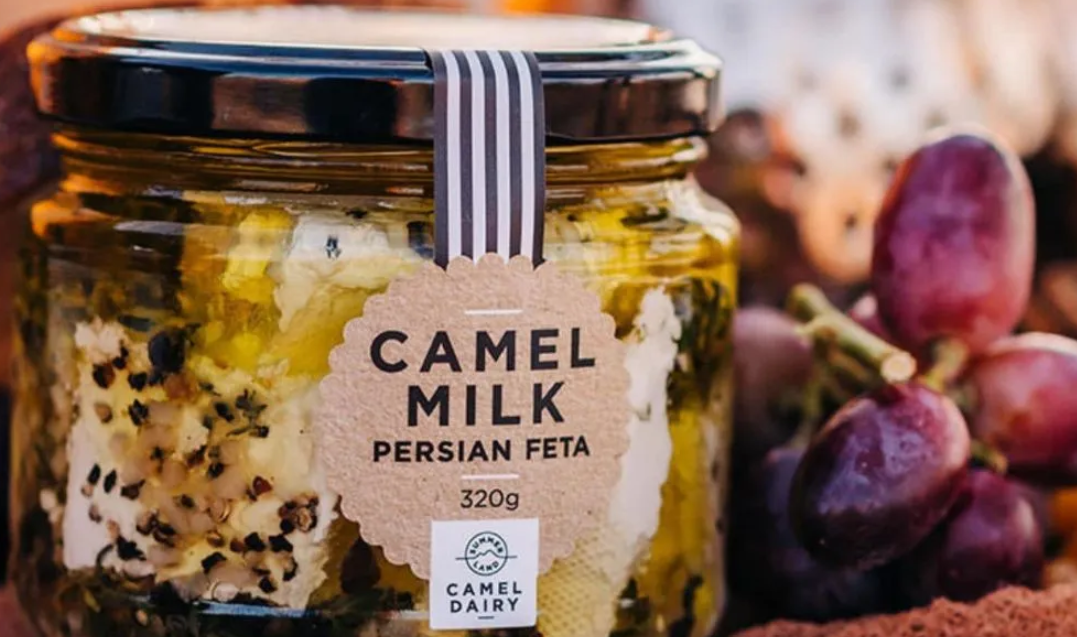Camel Farm Guided Tour with Tasting - 1 Hour