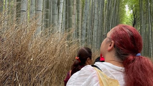 Otagi Nenbutsu Temple and Arashiyama Bamboo Forest Tour Day Tours