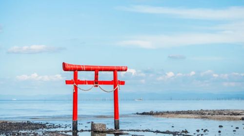 Kyushu Saga Arita Ceramic Park + Yutoku Inari Shrine + Sea Torii Gate 1-day tour| Strawberry Picking Day Tours
