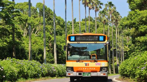 Izu Tokai Bus Free Ride Pass "Ito & Izu Kogen 2-day Ticket" Transport Passes