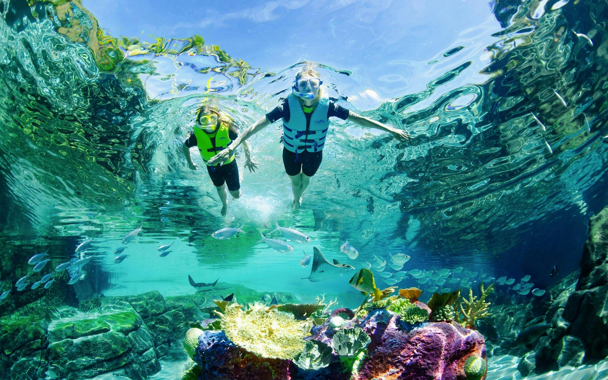 Discovery Cove Day Resort Tickets
