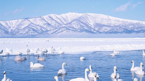 1-day tour to Noboribetsu Jigokudani Valley & Lake Tōya in Hokkaido · Small group for 9 people