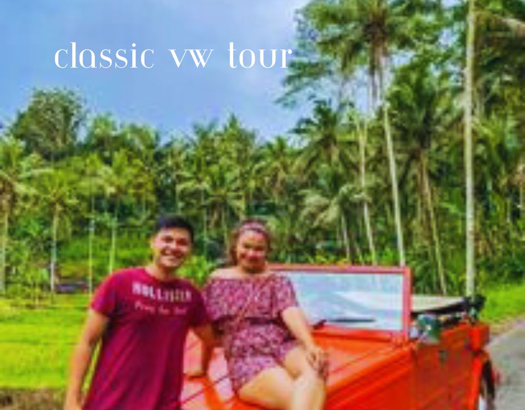 DAY Tour : Classic VW Adventure