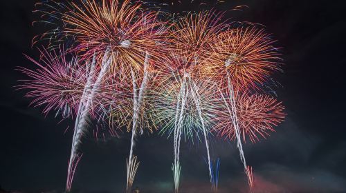1-day bus tour to the 110th ashikaga fireworks festival from Tokyo yaesu