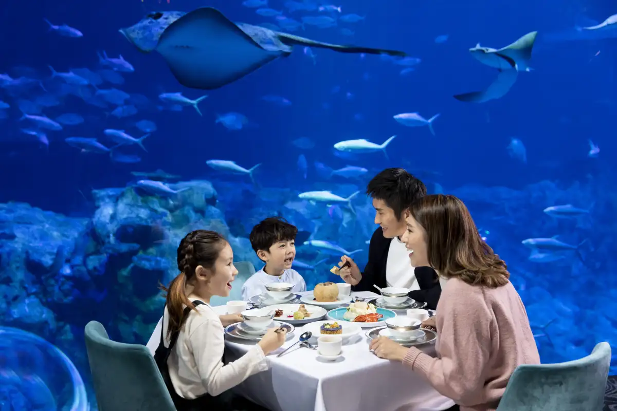 HongKong Ocean Park Summer Special Sale Ticket