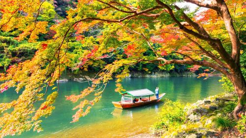 Small group of 9: Kyoto 1-day tour to Kifune shrine, Arashiyama and Sanzen-in