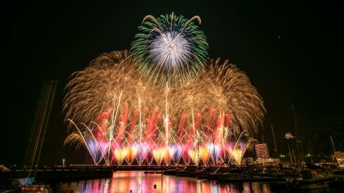 1-day tour to Atami Sea Fireworks and Hakone Shrine: seaside getaway from Tokyo
