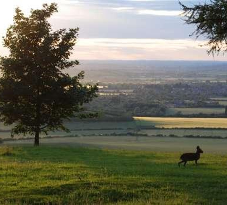 Dunstable: Whipsnade Zoo Full-Day Entrance Ticket