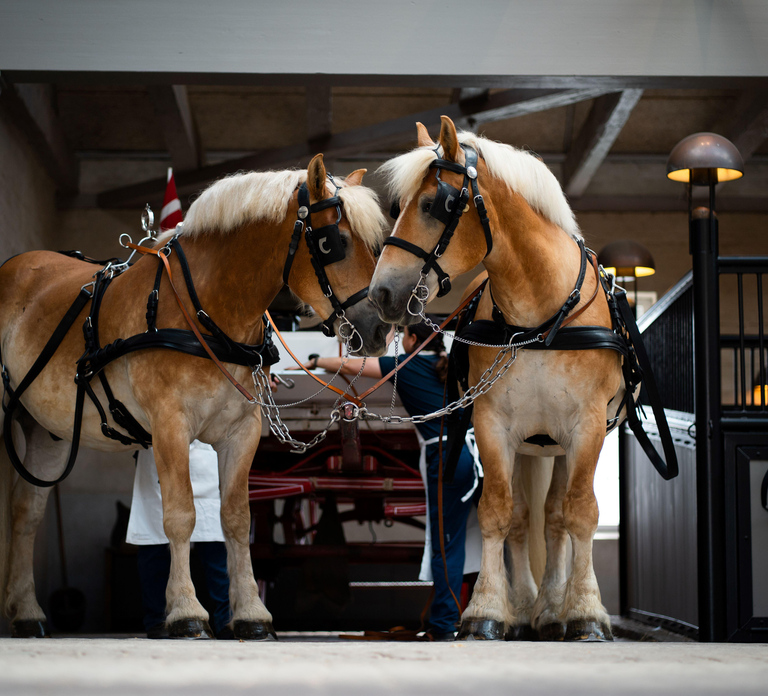 Copenhagen: Home of Carlsberg Experience Entry Ticket