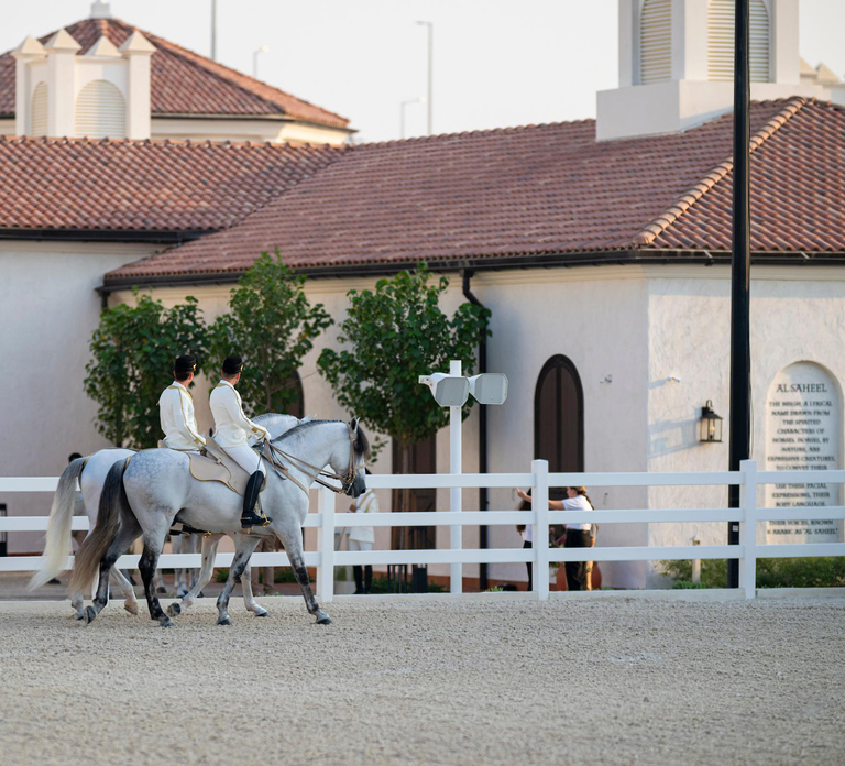 Abu Dhabi Royal Equestrian Arts - Guided Tour