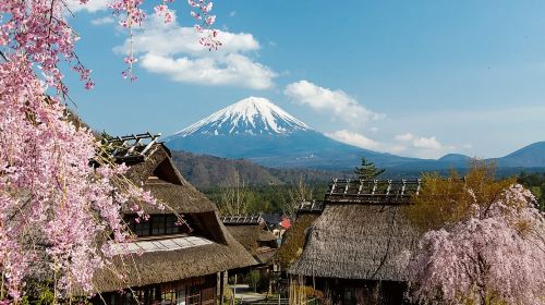 1-day tour to Mount Fuji, Oshino hakkai, 5th station and Gotemba Premium Outlets from Tokyo