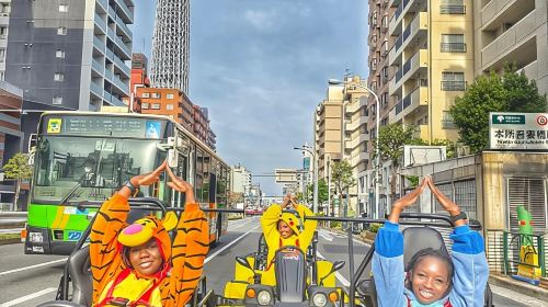 Iconic Tokyo Uptown Landmarks Go Kart Tour (120 Minutes)