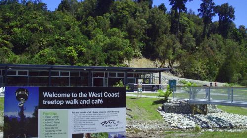 Westcoast Treetop Walk & Tower Zipline