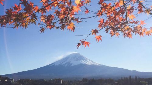 Fuji-Q Highland Day Tours