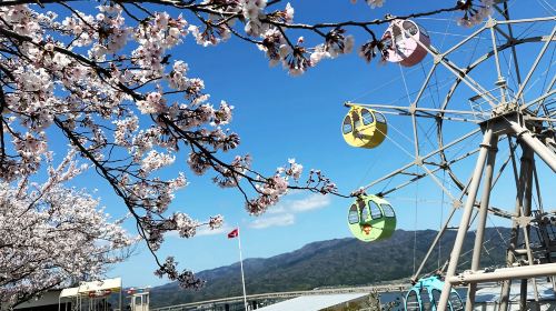 Japan Sea Kyoto Amanohashidate + Ine Funaya Day Trip – Optional includes cable car and boat tour
