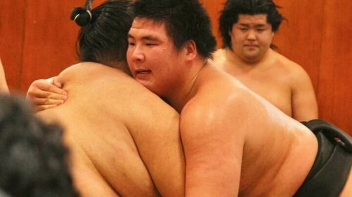 Tokyo Sumo Morning Practice: Viewing & Exclusive Interaction Day Tours