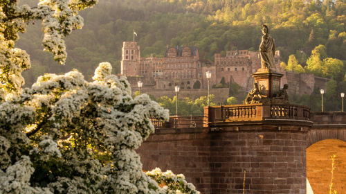 Private charter day tour to The Roman Forum, Frankfurt Cathedral, Goethe House, and Heidelberg Castle