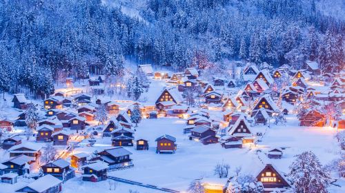 Nagoya-Shirakawa-go Illumination + Hida-Takayama 1-day tour[Hotel Pickup and Drop-off Available for Groups of 9]|Pure play Day Tours