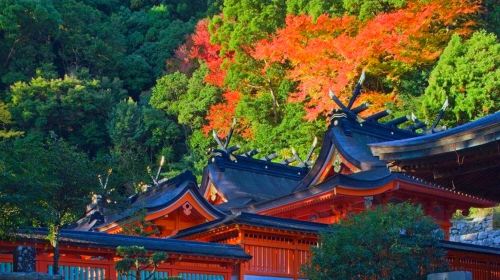 1-day tour from Osaka to world heritage Kumano-Kodo Nakahechi pilgrimage route
