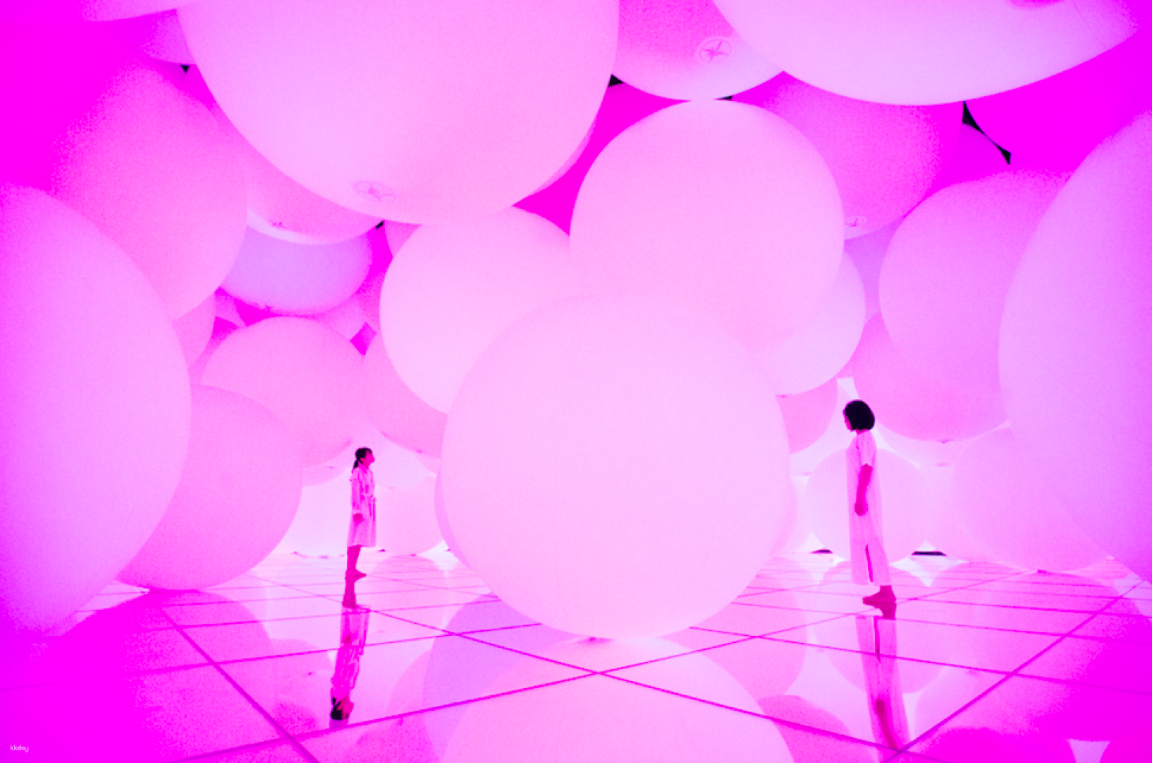 Japan TeamLab Planets Tokyo Ticket