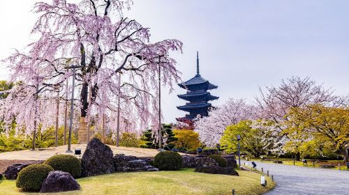 Rental Motorcycle Tour in Kyoto: South & East Heritage