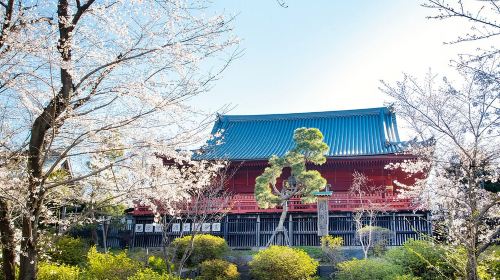 Tokyo Ueno Ukiyo-e Historical Tour + Tokyo National Museum Day Tours