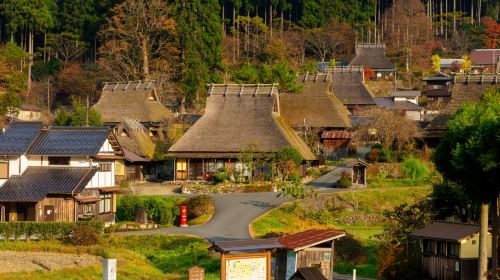 Amanohashidate, Chionji Temple & Miyama Town 1-Day Tour with Cruise & Cable Car