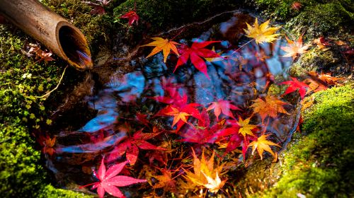 Japan Discovery Tour – Lake Biwa, Shirahige Jinja, Observation Deck