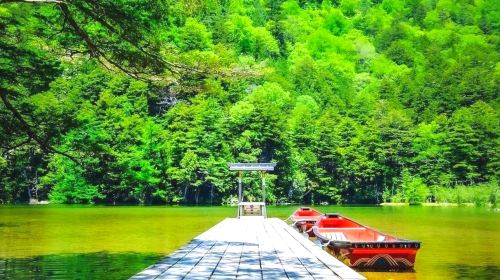Nagoya to Kamikochi 1-Day Tour: Taisho Pond, Kappa Bridge & Myojin Pond