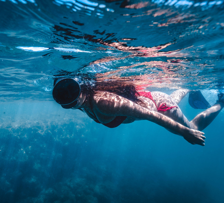 Snorkel the Vibrant Reefs of Khor Fakkan