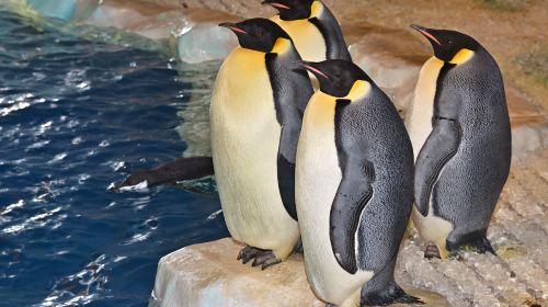 Port Of Nagoya Public Aquarium